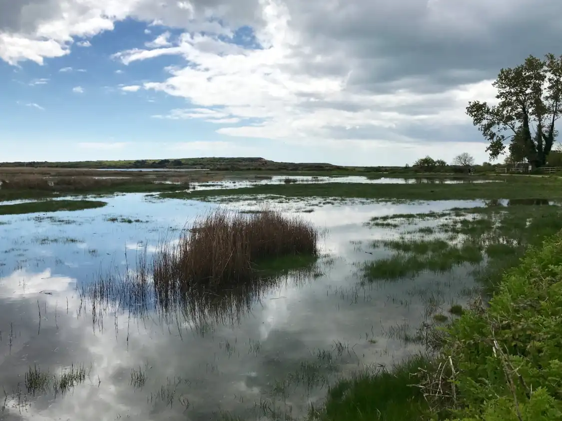 Hotels near Stanpit Marsh