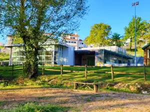 ExperTree PARK - Arborismo e Aventura
