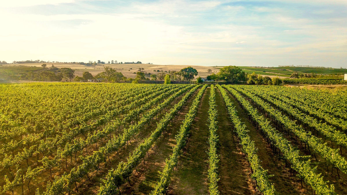 Nashdale Lane Wines