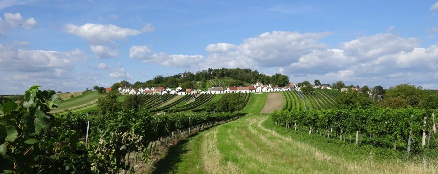 Kellergasse Galgenberg