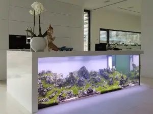 AQDE - Aquarien Deutschland