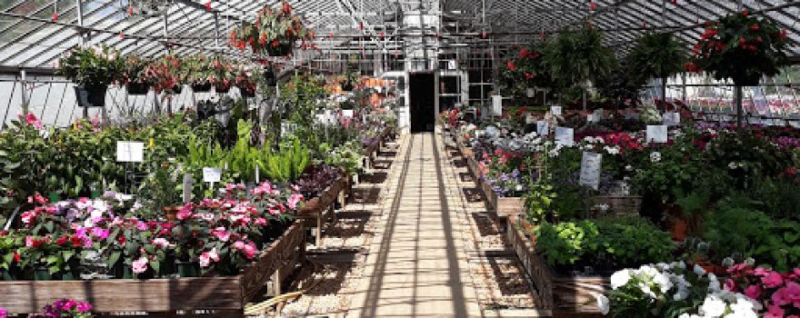 PRATT'S GREENHOUSE LLC