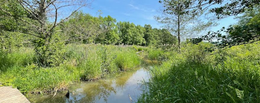 Sunken Garden Trail