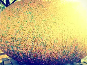 World's Largest Ball of Twine