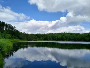 Basswood Pond State Forest