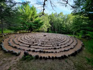 The Sacred Grove