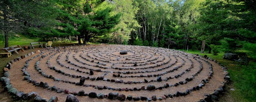 The Sacred Grove
