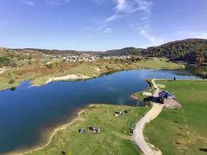 Acelle Yayla Göleti