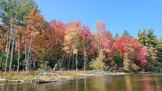 Keystone Landing State Forest Campground