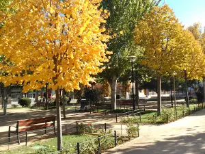 Parque Adolfo Suarez