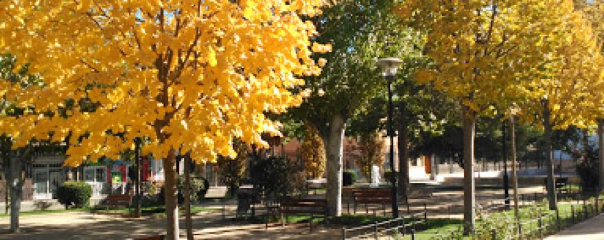 Parque Adolfo Suarez