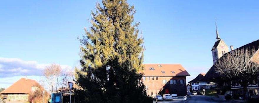 Dorfplatz Messen