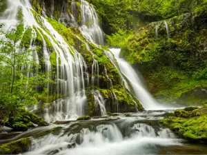 Gifford Pinchot National Forest
