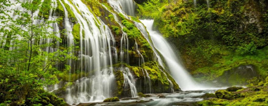 Gifford Pinchot National Forest