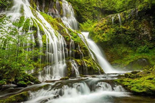 Gifford Pinchot National Forest