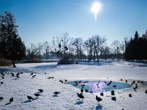 Park Miejski im. Jana Jerzego Przebendowskiego
