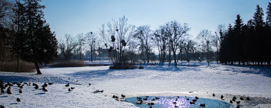 Park Miejski im. Jana Jerzego Przebendowskiego