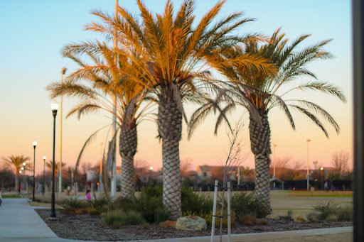 Oasis Park Elk Grove CA