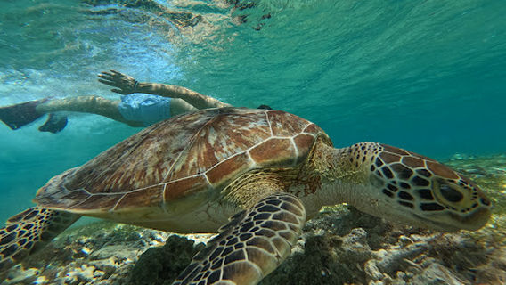 Gili Air