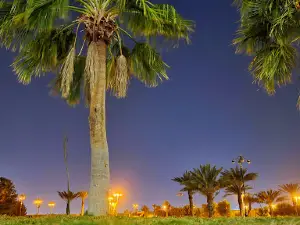 King Abdulaziz Park