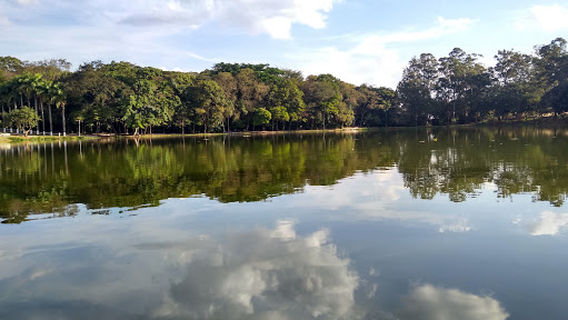 Bosque Municipal