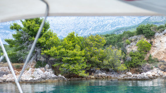 Podgora
