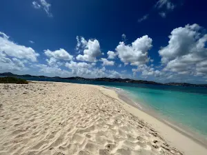 Caribbean Sea Adventures- Buck Island Tours & More