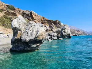 Preveli Palm Forest