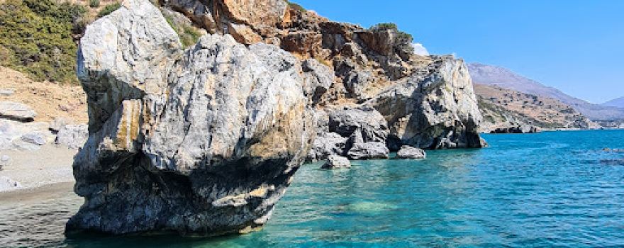 Preveli Palm Forest