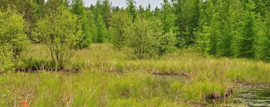 Hiles Wetlands State Natural Area