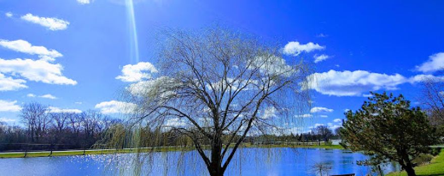 Dolphin Lake Park