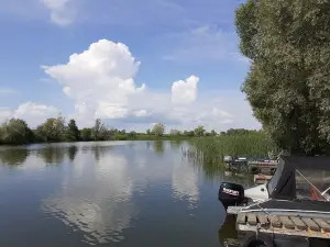 Kamskiye Prostory