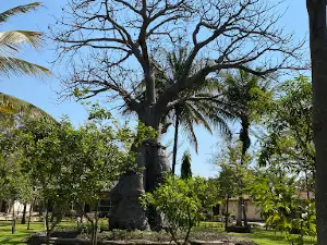 Hippo View Lodge