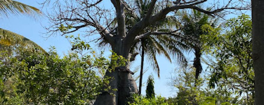 Hippo View Lodge