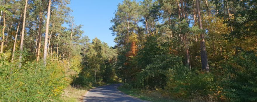 Chelmno Death Camp memorial