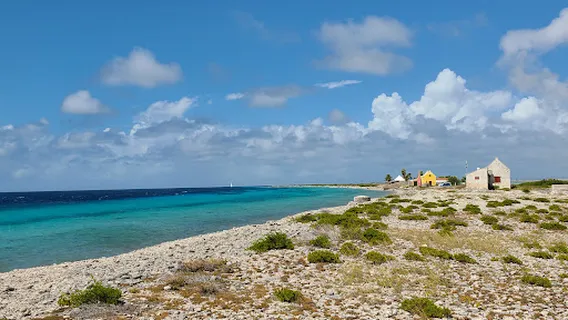 Red Slave (Peleké) (60)