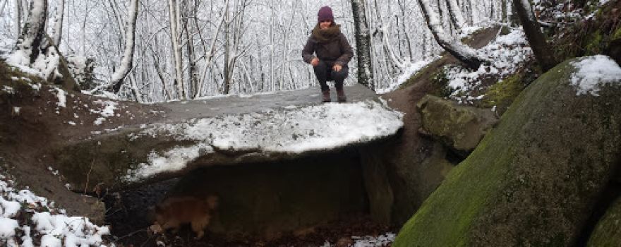 Dolmen De Bartres