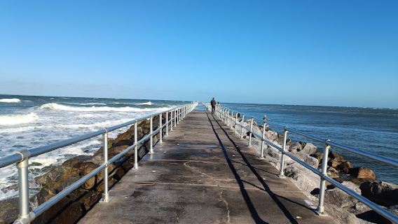 Ponce Inlet Dog Beach