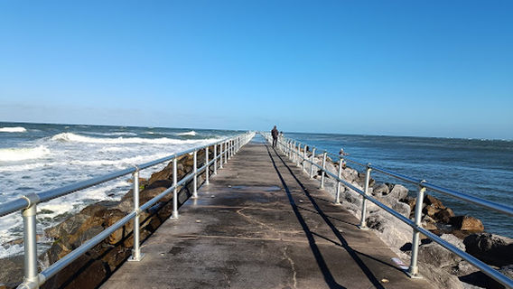 Ponce Inlet Dog Beach