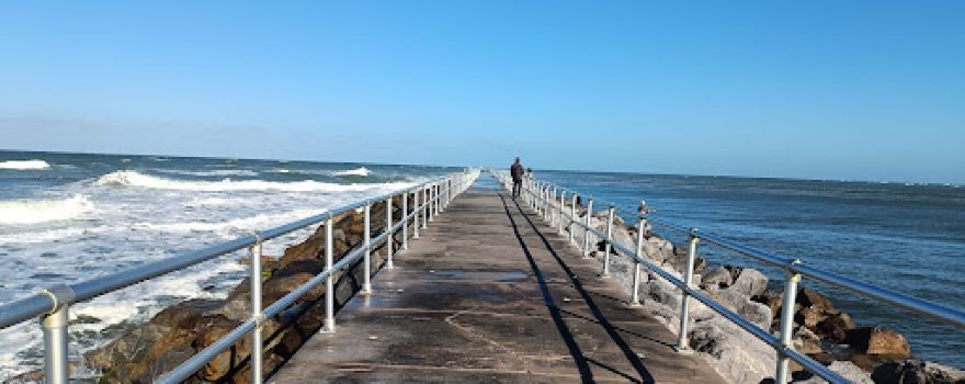 Ponce Inlet Dog Beach