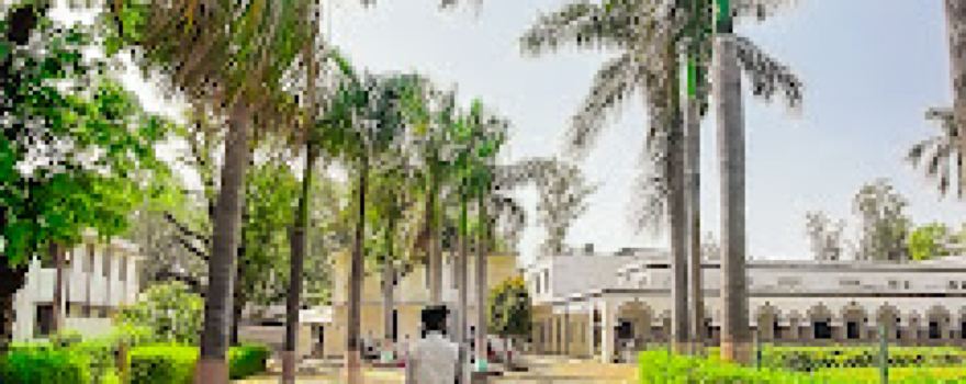 RRPG College Playground