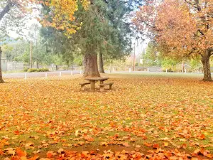 North Douglas Parks & Rec