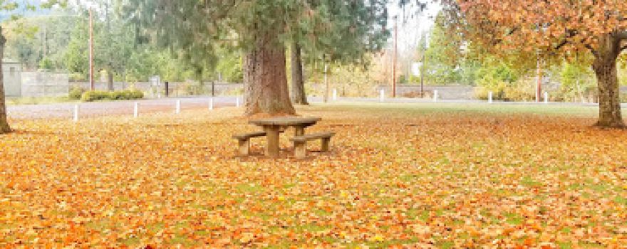 North Douglas Parks & Rec