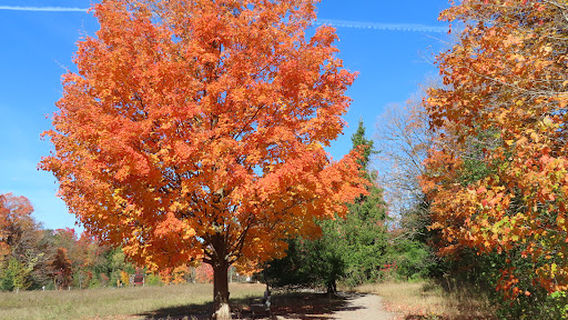Harmony Valley Conservation Area
