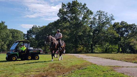 Franklin Park Playstead