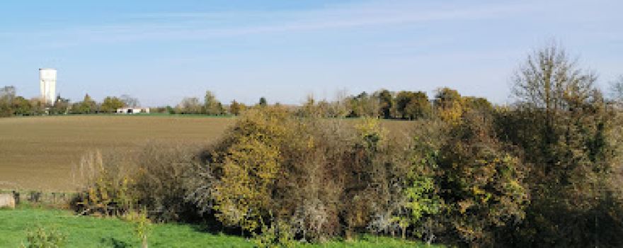 Ferme aux grues
