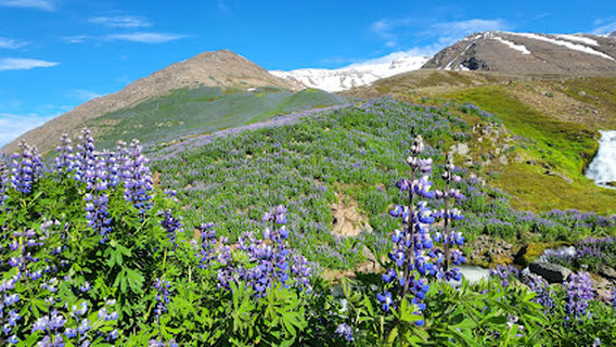Sjónarhorn