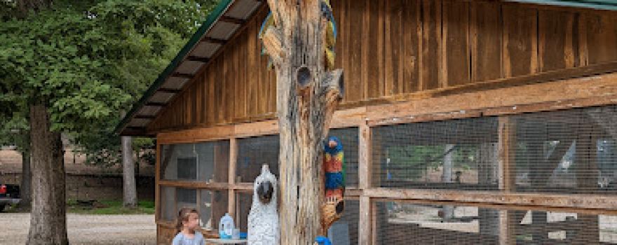 Missouri Down Under Adventure Zoo
