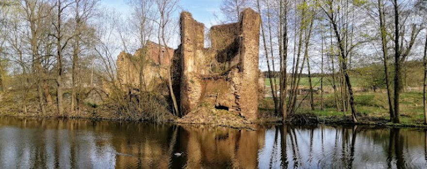 Ruine der Wasserburg Mechelgrün