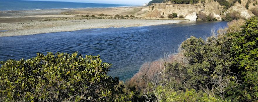 Hurunui Mouth Reserve